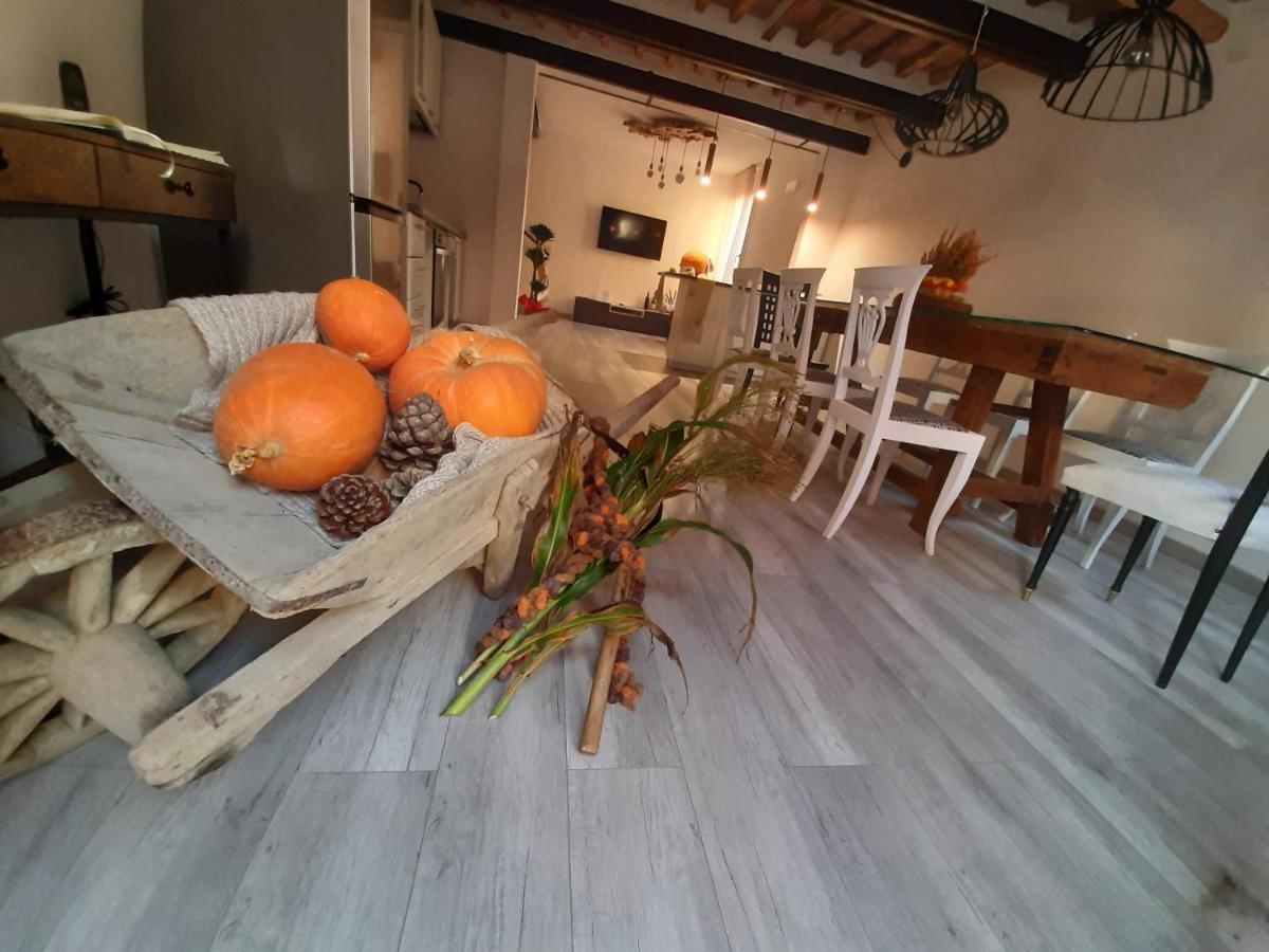 B&B Da Baba Ghizzano 외부 사진